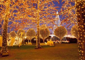 Animated Christmas Light Displays where to See Christmas Lights In Nashville