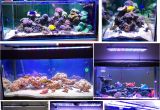 Aquarium Light Mount Aliexpress Com Buy Dsuny Led Lighting for Reef Tank Akvaryum Light