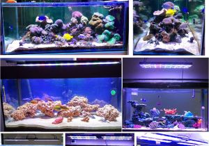 Aquarium Light Mount Aliexpress Com Buy Dsuny Led Lighting for Reef Tank Akvaryum Light