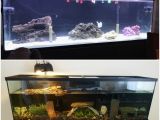 Aquarium Light Mount Fish Bowl Acrylic Hanging Aquarium Wall Mounted 3 Litres Pet Fish