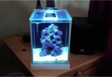 Aquarium Light Mount How to Setup A Pico Reef Tank Fluval Spec 3 New Led Light Blue