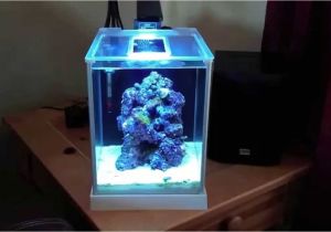 Aquarium Light Mount How to Setup A Pico Reef Tank Fluval Spec 3 New Led Light Blue