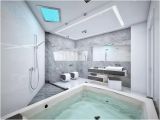 Are Bathtubs Luxury Trend Homes Luxury Walk In Bathtubs for Everyone