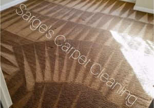 Area Rug Cleaning San Francisco Sarge S Carpet Cleaning 48 Photos Carpet Cleaning Milpitas Ca