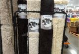 Area Rugs at Costco Canada Costco Shag Rugs Gallery Images Of Rug