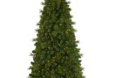 Artificial Decorative Pine Trees Foxtail Christmas Pine Tree Treetopia