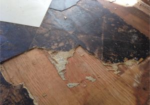 Asphalt Floor Tiles asbestos Removal Trouble Removing Vinyl Tile and Underlayment From Wood