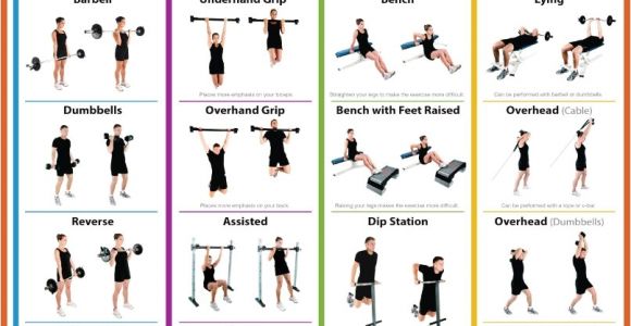 Assisted Bench Press Weight Training Arms Workout Pinterest Workout Fitness and