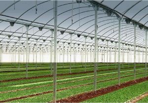 Automated Light Deprivation Greenhouse Automated Light Deprivation Breathable Fabrics Blackout Greenhouse