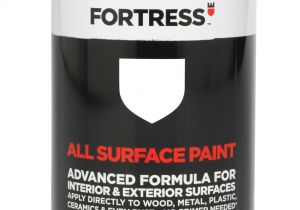 B Q Paint for Plastic Chairs fortress Interior Exterior White Gloss Multipurpose Paint 250ml