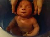 Baby Bath Tub 5 Months Five Day Old Baby Gets to Experience Mommy S Womb Again