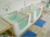 Baby Bathtub and Spa Whirlpool Tub Acrylic Baby Spa Bathtub Manufacturer