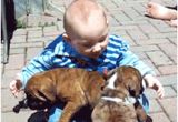 Baby Bathtub Gif Funny Kid Gifs Dose Of Funny