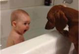 Baby Bathtub Joke Funny Picture Dump the Day 50 Pics