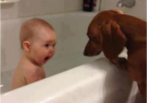 Baby Bathtub Joke Funny Picture Dump the Day 50 Pics