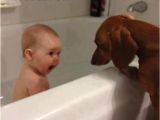 Baby Bathtub Meme Funny Picture Dump the Day 50 Pics