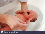 Baby Boy Bathtubs Crying Newborn One Day Old Baby Boy Having His First Bath