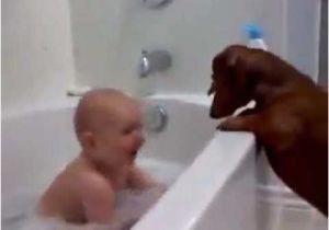 Baby In Bathtub Laughing at Dog 45 Best Laughter Images On Pinterest