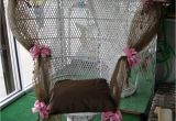Baby Shower Chairs for Rent In Ct Baby Shower Chairs for Mom to Be Home Design Ideas