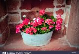 Baby Zinc Bathtub Tin Bath Stock S & Tin Bath Stock Alamy