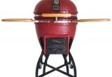 Backyard Classic Professional Charcoal Grill Amazon Com Vision Grills Kamado Professional Ceramic Charcoal