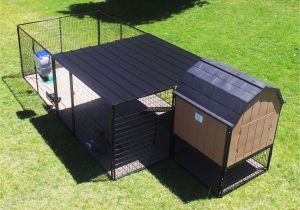 Backyard Dog Kennels the Ultimate Kennel Barn is A Fully Insulated Elevated Large Breed
