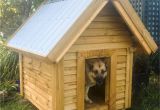 Backyard Dog Kennels Wooden Dog Kennels Kutyahaz Pinterest Dog