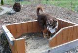 Backyard Dog Run Ideas Backyard Dog Run Ideas Awesome Backyard Dog Run Ideas Photos