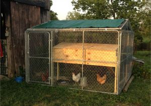 Backyard Dog Run Ideas Chicken Coop From A 10×10 Dog Kennel Wrapped In Chicken Wire