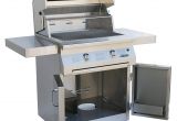 Backyard Grill 2 Burner Cart Gas Grill Amazon Com solaire 30 Inch Infravection Natural Gas Cart Grill