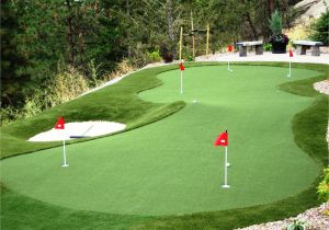 Backyard Putting Green Kits Putting Green for Small Backyard Beautiful Practise Your Putts In