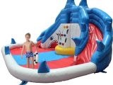 Backyard Water Slides for Adults Yard Inflatable Slide Water Park Summer Swimming Pool with Cannons