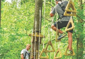 Backyard Ziplines Backyard Zip Line Safety Elegant Zipline Courses Throughout Virginia