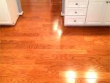 Bamboo Flooring and Dogs 40 Most Durable Flooring for Pets Concept