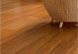 Bamboo Flooring and Dogs 56 Best Super Strand Bamboo Flooring by Moso Images On Pinterest