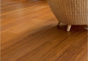 Bamboo Flooring and Dogs 56 Best Super Strand Bamboo Flooring by Moso Images On Pinterest