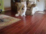 Bamboo Flooring and Dogs Acorn Strand Woven Bamboo Flooring by Us Floor Remade This Triangle