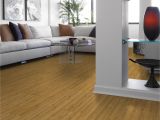 Bamboo Flooring and Dogs Urine Bamboo Flooring Pros and Cons Home Design