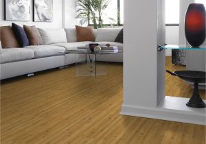 Bamboo Flooring and Dogs Urine Bamboo Flooring Pros and Cons Home Design