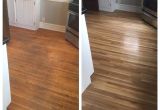 Bamboo Flooring and Large Dogs before and after Floor Refinishing Looks Amazing Floor