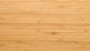 Bamboo Flooring and Large Dogs Cleaning and Maintaining Bamboo Floors