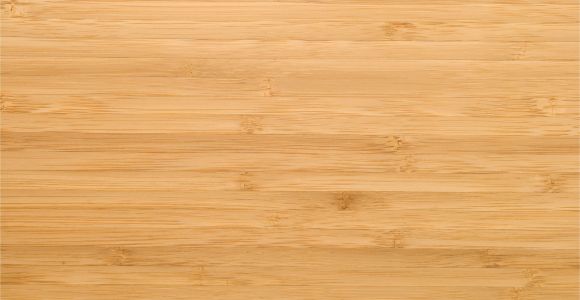 Bamboo Flooring and Large Dogs Cleaning and Maintaining Bamboo Floors