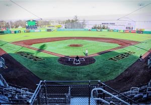 Baseball Field Rug Mizzou Baseball Renovates Taylor with New Turf University Of Missouri