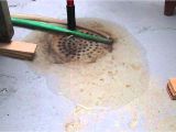 Basement Floor Drain Backing Up Septic Floor Drain Backing Up During A Minneapolis Home Inspection Youtube