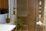 Bathroom Design Ideas for Small Bathrooms On A Budget 11 Awesome Type Small Bathroom Designs