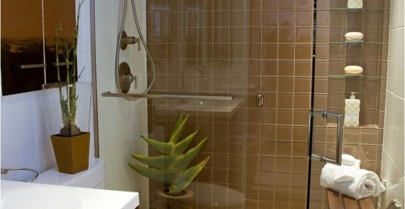 Bathroom Design Ideas for Small Bathrooms On A Budget 11 Awesome Type Small Bathroom Designs