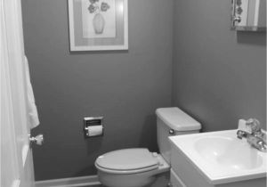 Bathroom Design Ideas for Small Spaces Exceptional Bathroom and toilet Designs for Small Spaces