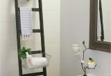 Bathroom No Windows Design Ideas Diy Storage Ladder Daily Living Diy Pinterest