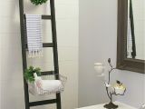 Bathroom No Windows Design Ideas Diy Storage Ladder Daily Living Diy Pinterest