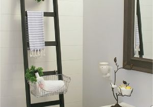 Bathroom No Windows Design Ideas Diy Storage Ladder Daily Living Diy Pinterest